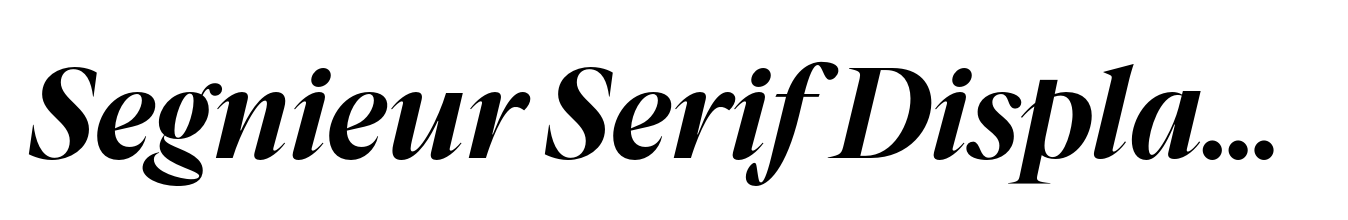 Segnieur Serif Display Bold Italic